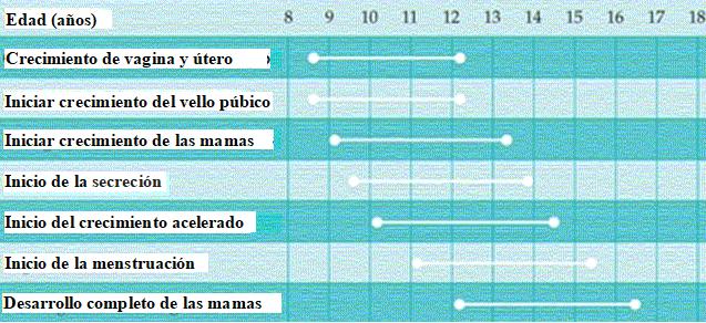 Desarrollo Femenino