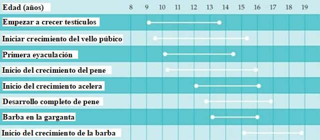 Desarrollo Hombre