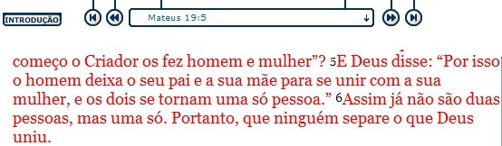 Biblia Mateus 19